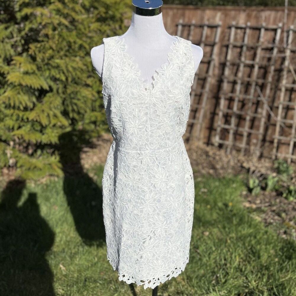 Ann Taylor LOFT Lace Floral Sleeveless Dress 4P
